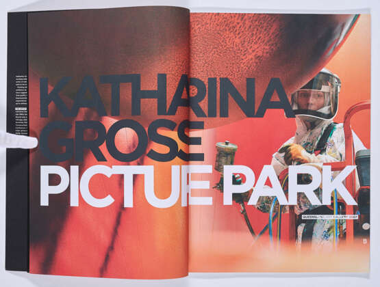 Katharina Grosse. Picture Park - photo 2