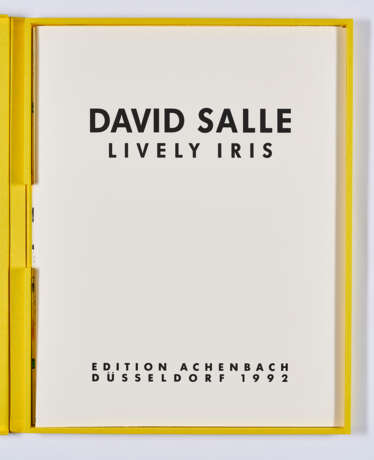 David Salle. Liveley Iris - photo 6