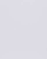 Mouse (Midnight Mickey)