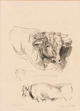CORINTH, Lovis (1858 Tapiau - 1925 Zandvoort). Dreiteilige Tierskizze "Stier". - фото 1