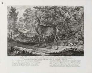 RIDINGER, Johann Elias (1698 Ulm - 1767 Augsburg). 5 verschiedene Werke mit Tierdarstellungen.