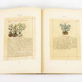 EMMART, Emily Walcott. "The Badianus Manuscript - Codex Barberini, Latin 241" . - photo 2