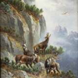 MÜLLER, MORITZ sen. (München 1841-1899 ebenda, Wild- u. Jagdmaler), "Sichernde Gemsen" - Foto 1