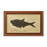 A FOSSIL FISH PLAQUE - фото 1