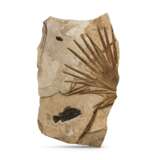 A PARTIAL FOSSIL PALM FROND WITH FISH - фото 1