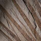 A PARTIAL FOSSIL PALM FROND - фото 3
