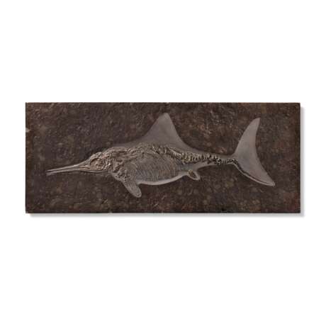 A FOSSIL ICHTHYOSAUR - Foto 1