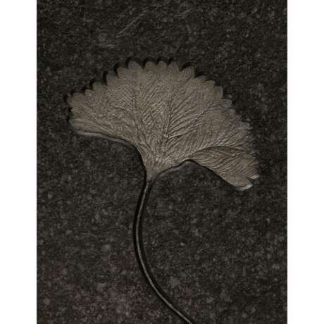 A VERY LARGE FOSSIL SEA LILY PLAQUE - photo 2