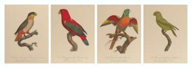 A SET OF TEN HAND-COLOURED ENGRAVINGS OF BIRDS FROM HISTOIRE NATURELLE DES PERROQUETS