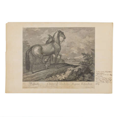 RIDINGER, JOHANN ELIAS (1698-1767), 11Bll.: "Neues Zeichnungsbuch, darin wilde und zahme Thiere", - Foto 2