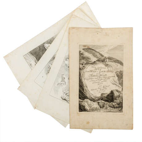 RIDINGER, JOHANN ELIAS (1698-1767), 11Bll.: "Neues Zeichnungsbuch, darin wilde und zahme Thiere", - Foto 5