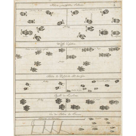 RIDINGER, JOHANN ELIAS unter anderem (1698-1767), 9x "Spuren" für die Jagd, - Foto 2