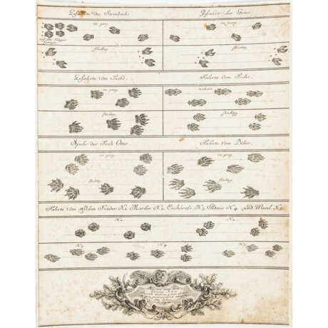 RIDINGER, JOHANN ELIAS unter anderem (1698-1767), 9x "Spuren" für die Jagd, - Foto 5