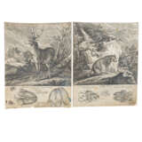 RIDINGER, JOHANN ELIAS unter anderem (1698-1767), 9x "Spuren" für die Jagd, - photo 7