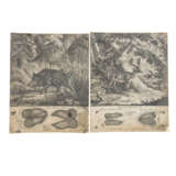 RIDINGER, JOHANN ELIAS unter anderem (1698-1767), 9x "Spuren" für die Jagd, - Foto 8
