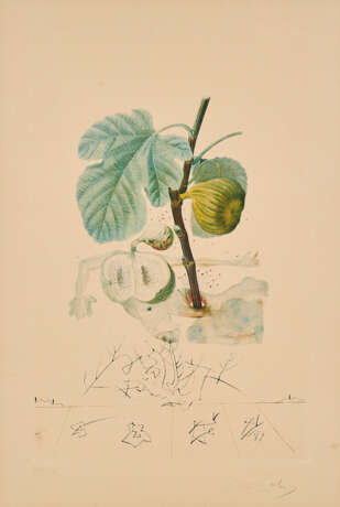 Homme figuier (From: Flordali Les Fruits) - Foto 1