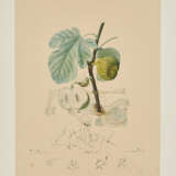 Homme figuier (From: Flordali Les Fruits) - фото 2