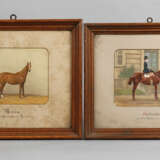 Paar Pferdeportraits - Foto 1