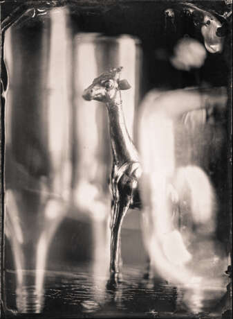 В тени бутылочного дерева Moderne Kunst Animalistisches 2014 - Foto 1