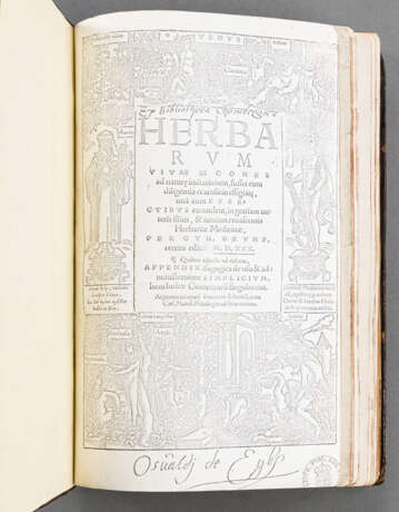 Brunfels, O., Herbarium vivae eicones (...) - photo 2