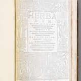 Brunfels, O., Herbarium vivae eicones (...) - фото 2
