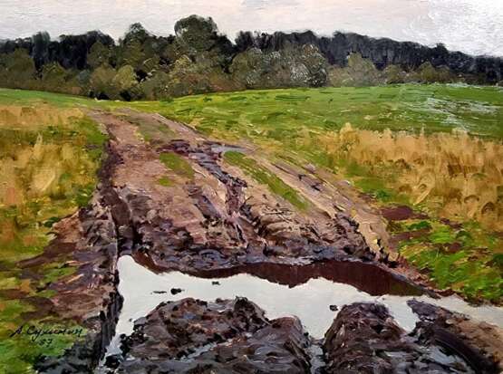 Лужа Сухинин Афанасий Евстафьевич Cardboard Oil Landscape painting Russia 1997 - photo 1