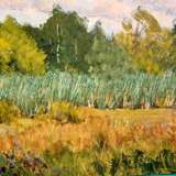 Painting “Swamp with reeds”, Сухинин Афанасий Евстафьевич, Cardboard, Oil, 20th Century Realism, Landscape painting, Russia, 2000 - photo 1