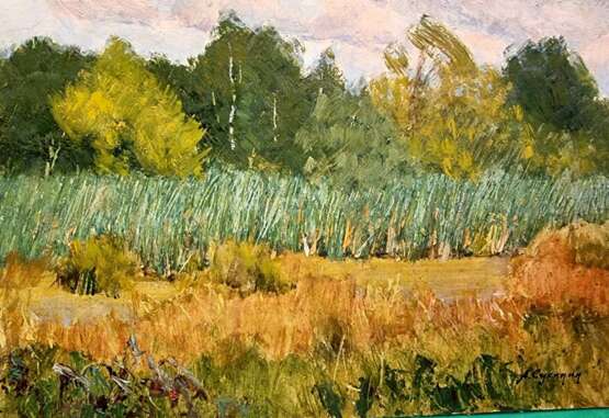 Painting “Swamp with reeds”, Сухинин Афанасий Евстафьевич, Cardboard, Oil, 20th Century Realism, Landscape painting, Russia, 2000 - photo 1
