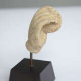 Hand einer Gottheit mit Scheibe aus hellbraunem Sandstein, auf Sockel montiert - Foto 5