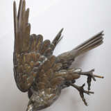 Bronze eines Adlers auf einem Stand aus Wurzelholz - photo 11