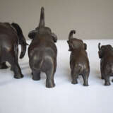Elefanten-Prozession über einen großen Stamm aus Wurzelholz - photo 19