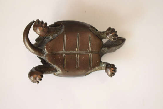 Bronze einer Schildkröte - Foto 4