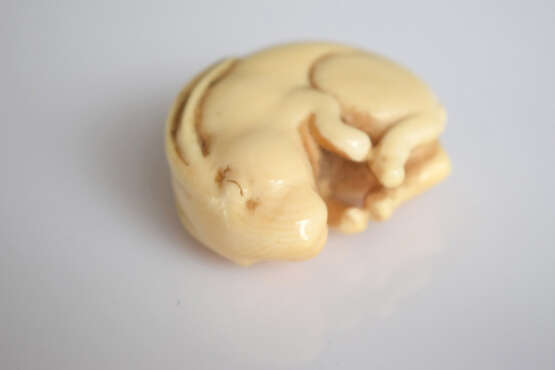 Netsuke eines schlafenden Hasen aus Elfenbein - photo 6