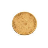 USA/GOLD - 5 Dollars 1881 Liberty Head, - фото 1