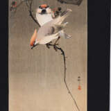 Ohara Shôson (Koson) - Foto 9