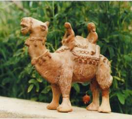 Camel and rider