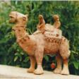 Camel and rider - Achat en un clic