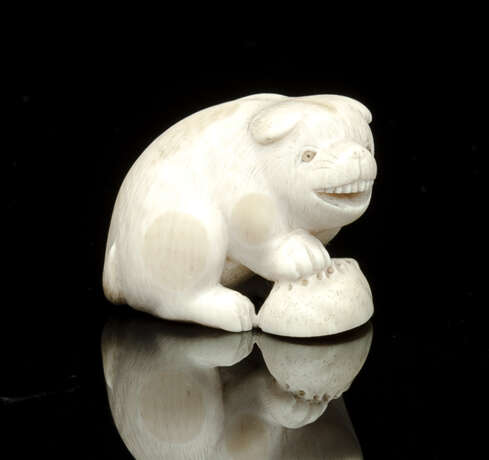 Netsuke eines Welpen mit Seeohr-Schale aus Elfenbein mit Pupillen aus hellem Horn - photo 1