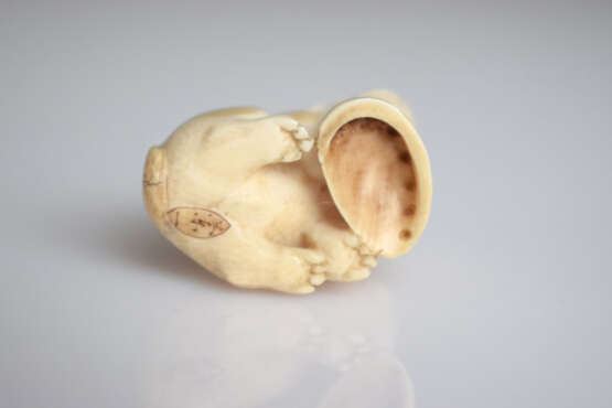 Netsuke eines Welpen mit Seeohr-Schale aus Elfenbein mit Pupillen aus hellem Horn - photo 4