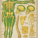 Vier tantrische Diagramme zum menschlichen Körper - photo 5