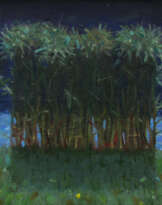 Reed Reed