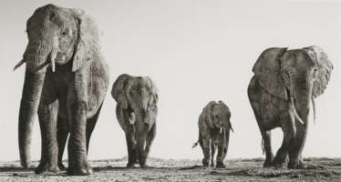 DAVID YARROW (N&#201; EN 1966)