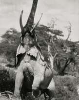 PETER BEARD (1938-2020)