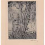 Рерберг, И.Ф. Дерево у реки. 1931. Бумага, офорт. 27х20,2 см. - фото 1