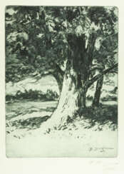 Sauze, V.Kh. Chêne. 1920. Papier, vernis mou. 42,3x29,8 cm.