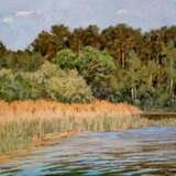 Прошлогодний камыш Сухинин Афанасий Евстафьевич Cardboard Oil 20th Century Realism Landscape painting Russia 2000 - photo 1