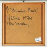 Shadow-Box - photo 3