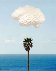 Brain Cloud (With Seascape and Palm Tree)