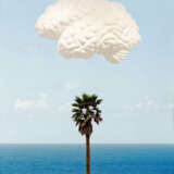 Brain Cloud (With Seascape and Palm Tree) - Foto 1