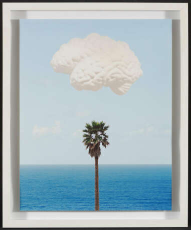 Brain Cloud (With Seascape and Palm Tree) - Foto 2